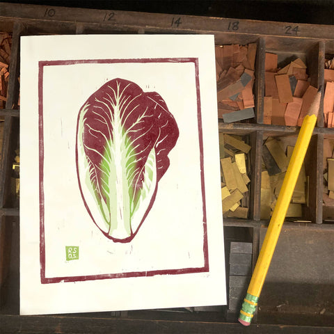RFM-519 Radicchio