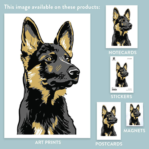 RAN-57 German Shepherd 2