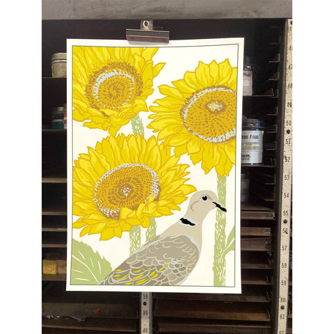 RBI-231 Eurasian Collared-Dove and Sunflowers