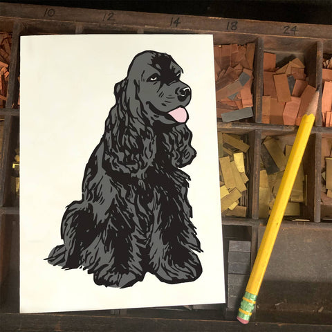 RAN-53 Cocker Spaniel, Black