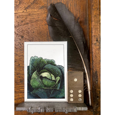 RFM-32 Cabbage