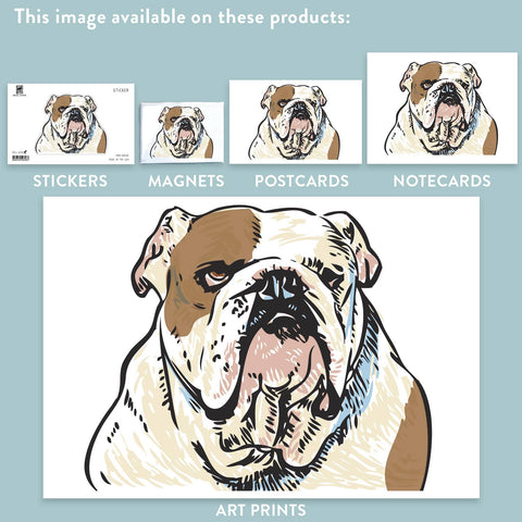RAN-30 Bulldog, White