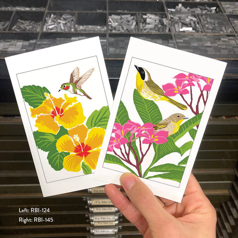 RBI-145 Common Yellowthroat & Plumeria
