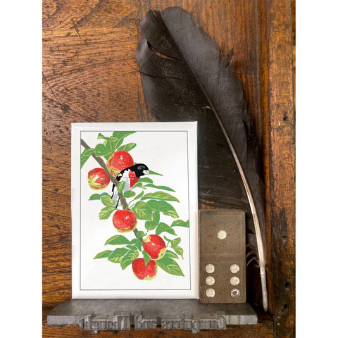 RBI-216 Rose-Breasted Grosbeak & Apple
