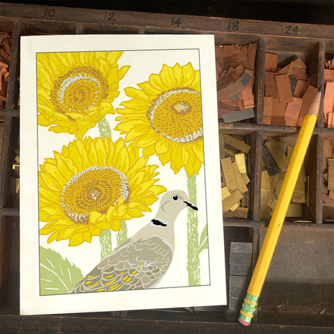 RBI-231 Eurasian Collared-Dove and Sunflowers