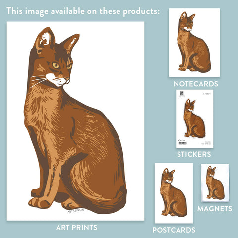 RAN-29 Abyssinian Cat