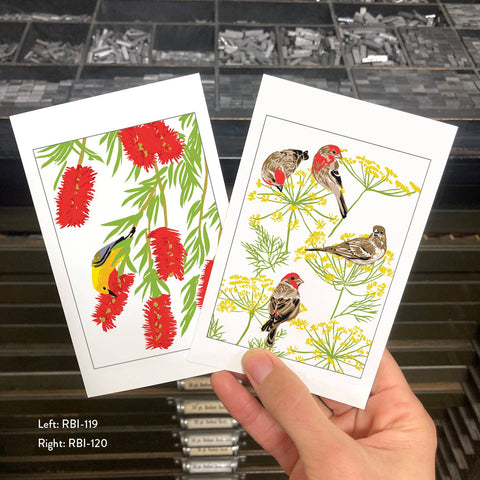 RBI-119 Bottlebrush & Prothonotary Warbler