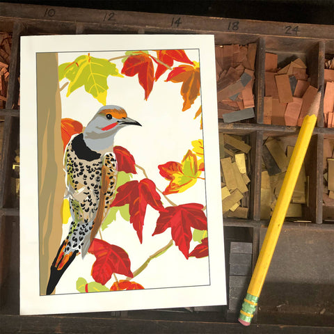RBI-237 Northern Flicker and Autumn Leaves