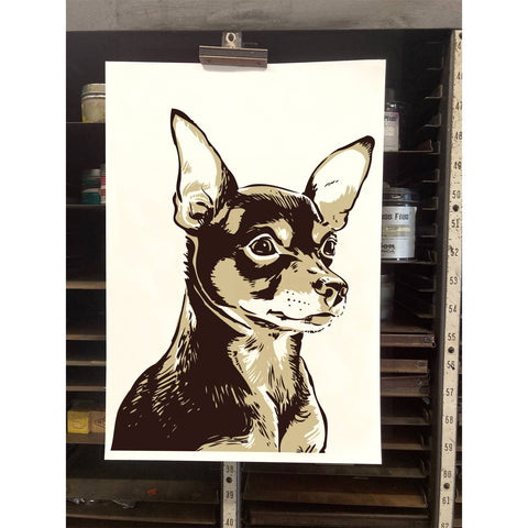 RAN-52 Chihuahua, Brown and Black