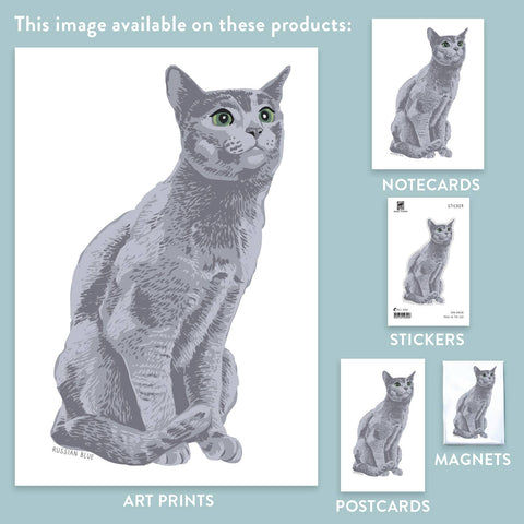 RAN-38 Russian Blue Cat