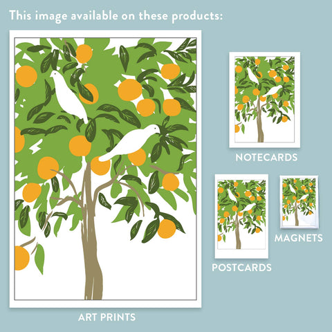 RBI-17 Doves in Orange Tree