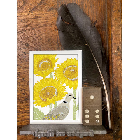 RBI-231 Eurasian Collared-Dove and Sunflowers