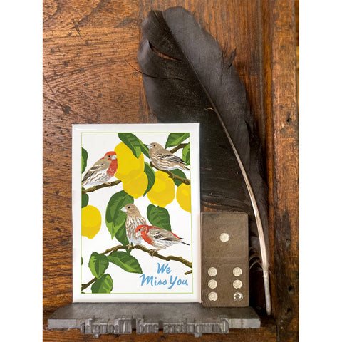 RMY-224 House Finches & Lemons - We Miss You