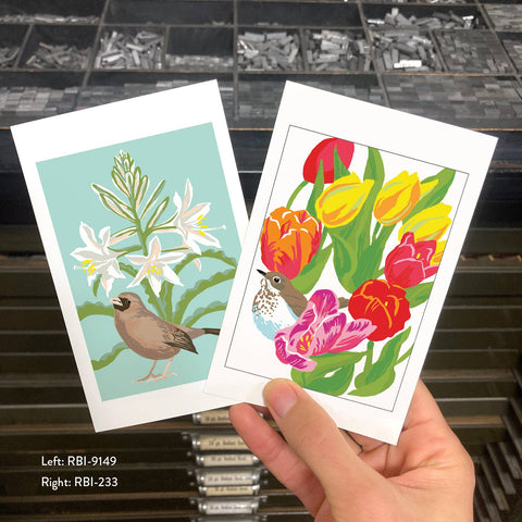 RBI-233 Hermit Thrush and Tulips