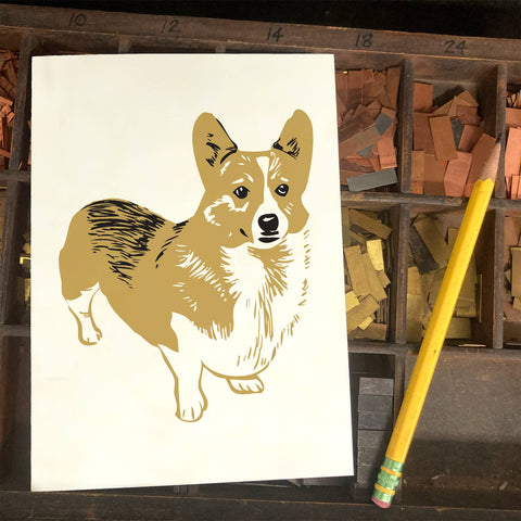 RAN-72 Welsh Corgi