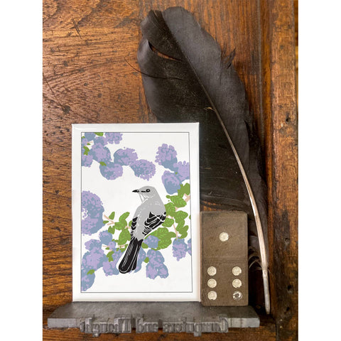 RBI-208 Mockingbird & Ceanothus