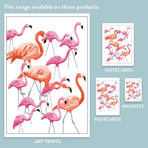 RBI-215 Flamingos