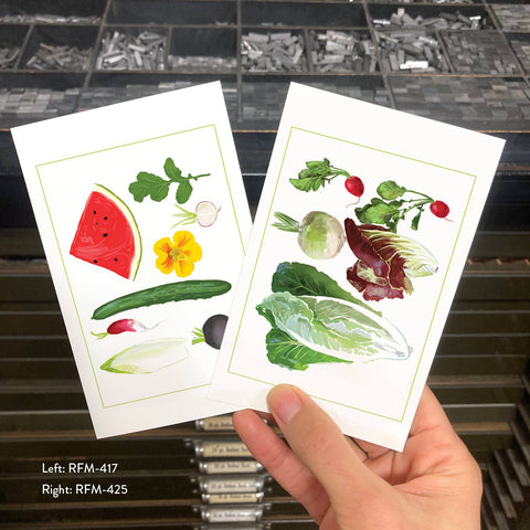 RFM-419 Watermelon and Cucumber