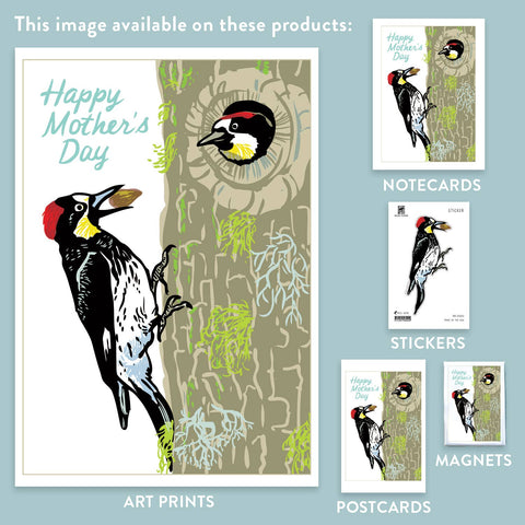 RMD-202 Acorn Woodpecker - Mother's Day
