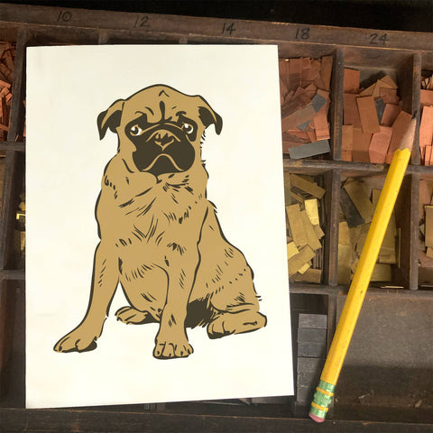 RAN-70 Pug Puppy