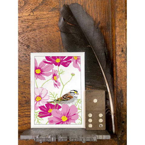 RBI-223 White-Throated Sparrow & Cosmos