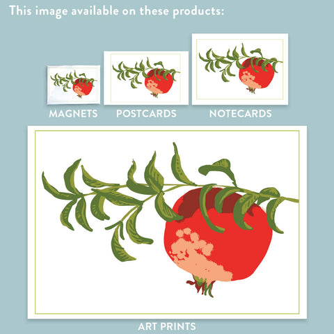 RFM-42 Pomegranate