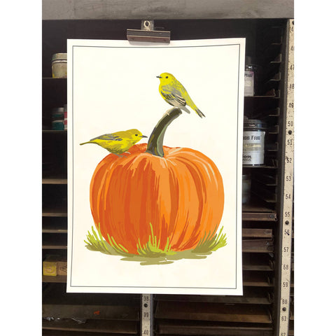 RBI-40 Warblers & Pumpkin