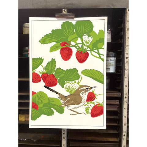 RBI-220 Bewick's Wren & Strawberry