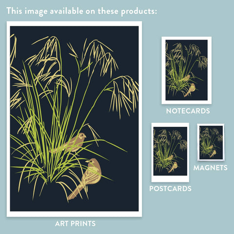 RBI-204 Needlegrass and Towhee