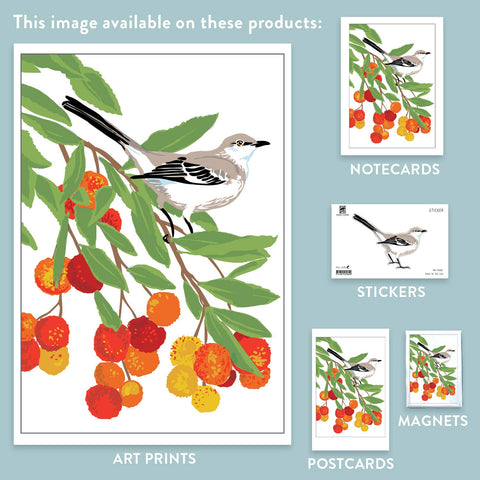 RBI-182 Mockingbird Strawberry Tree