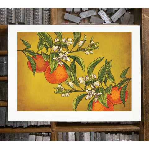 RFM-405 Oranges