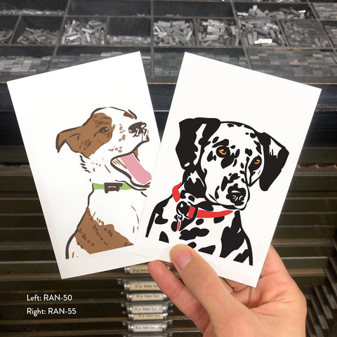 RAN-55 Dalmatian