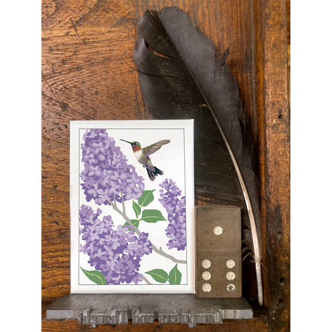 RBI-235 Hummingbird and Lilac