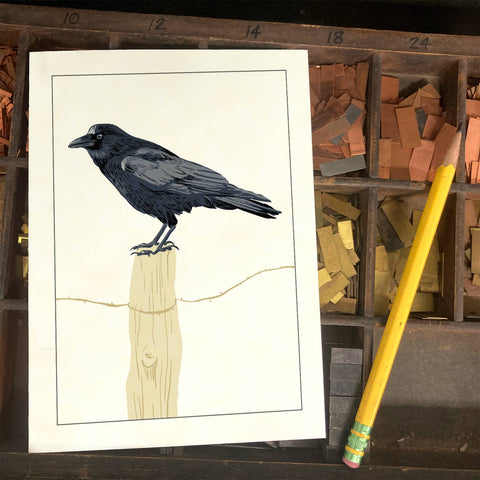 RBI-20 Raven on Fencepost