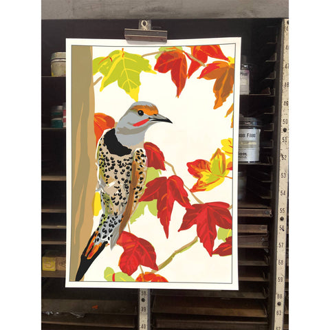 RBI-237 Northern Flicker and Autumn Leaves