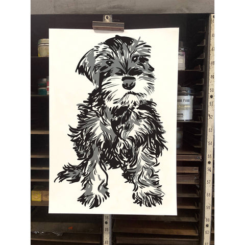 RAN-66 Mini Schnauzer