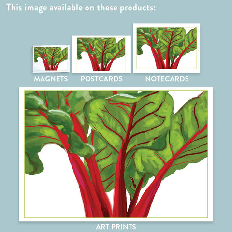 RFM-180 Swiss Chard