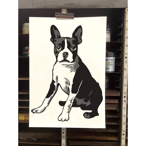 RAN-49 Boston Terrier 1