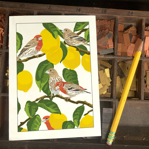 RBI-224 House Finches & Lemons