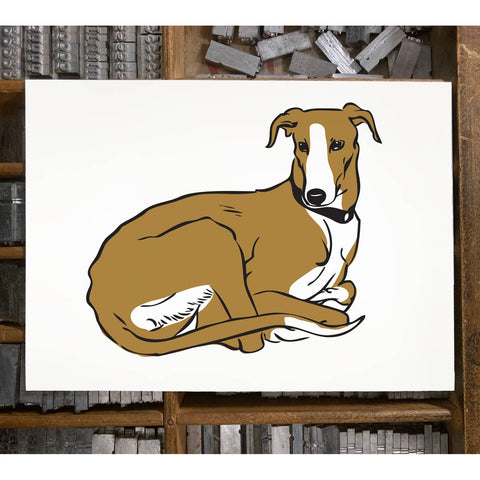 RAN-60 Greyhound