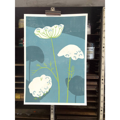 RFL-312 Queen Annes Lace
