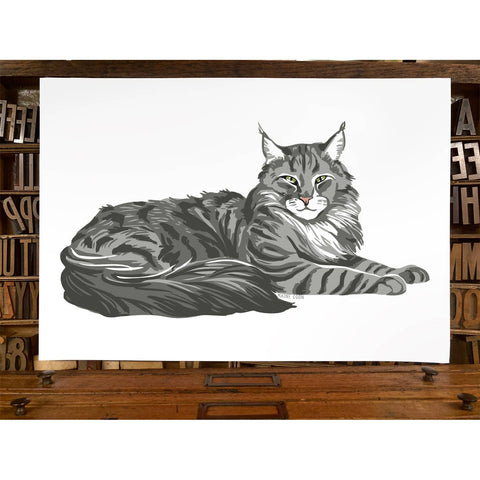 RAN-33 Maine Coon Cat
