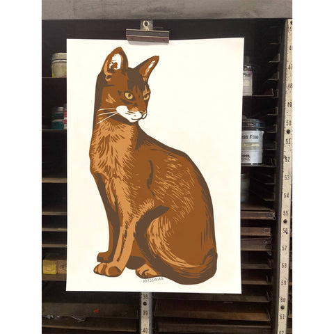 RAN-29 Abyssinian Cat