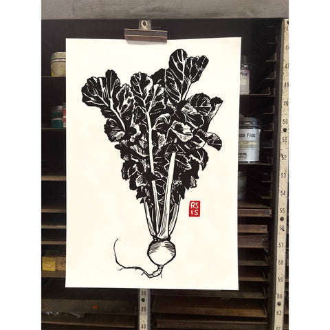 RFM-530 Round Daikon