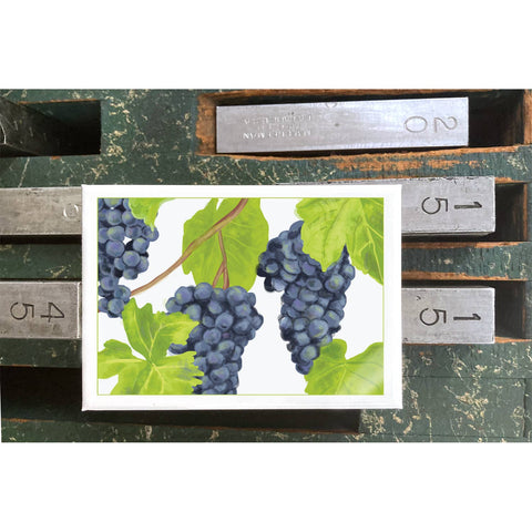 RFM-178 Grapes