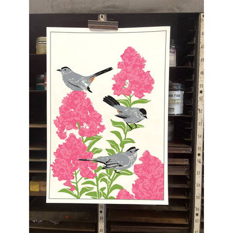 RBI-189 Gray Catbirds and Crepe Myrtle