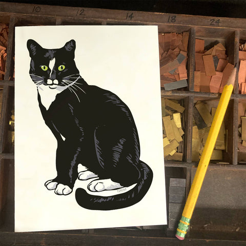 RAN-35 Tuxedo Cat