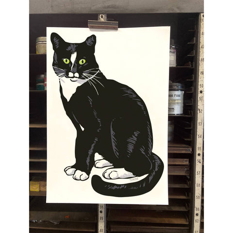 RAN-35 Tuxedo Cat