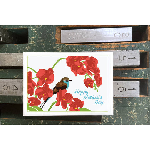 RMD-100 Orchids - Mother's Day