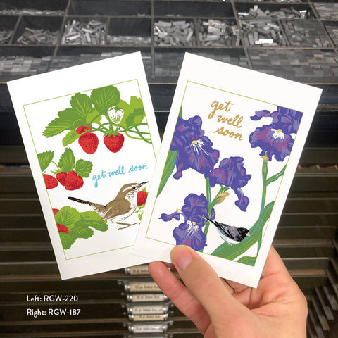 RGW-220 Bewick's Wren & Strawberries - Get Well Soon